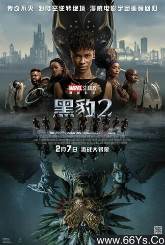 2022年美国7.2分动作科幻片《黑豹2》1080P国英双语双字