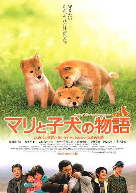 2007年日本8.7分剧情片《爱犬的奇迹》蓝光日语中字