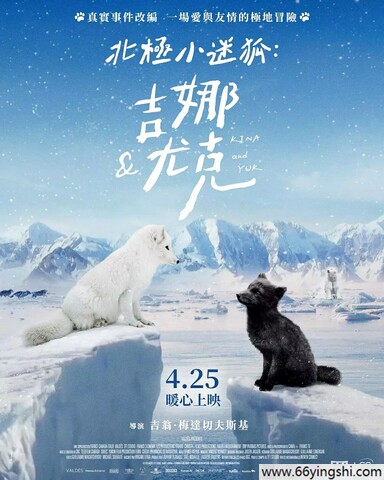 2023年法国纪录片《北极小迷狐吉娜&amp;尤克》1080P中字