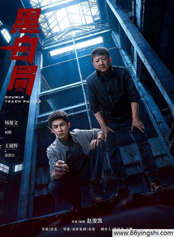 2025年杨旭文,王砚辉电视剧《黑白局》更新至14集