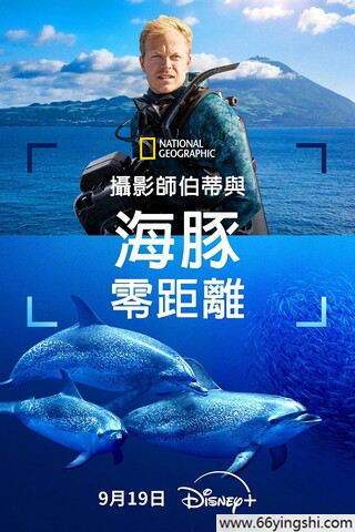 2025年美国纪录片《摄影师贝尔蒂与海豚零距离》1080P中英双字